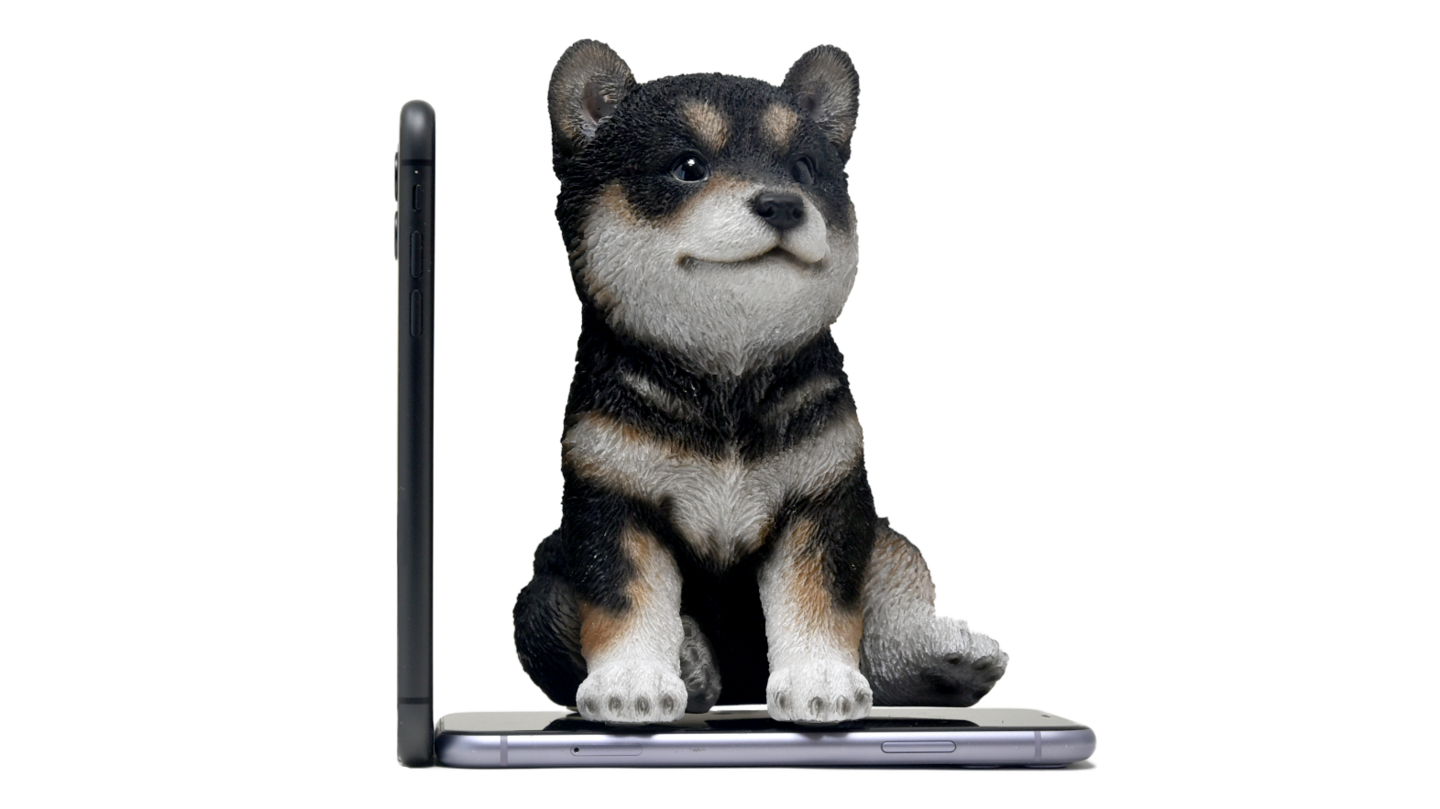 Woobiaサイズ比較犬1