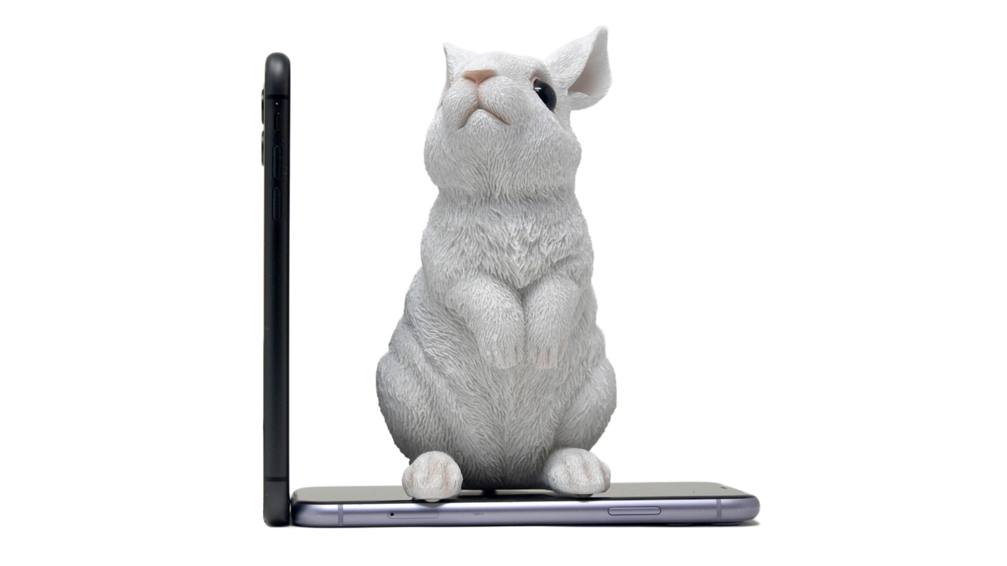 Woobiaサイズ比較ウサギ1