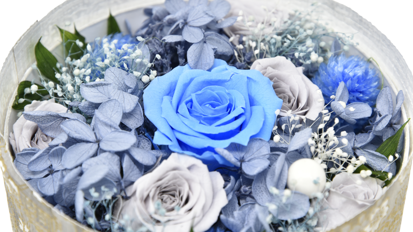 かえる骨つぼ構造2