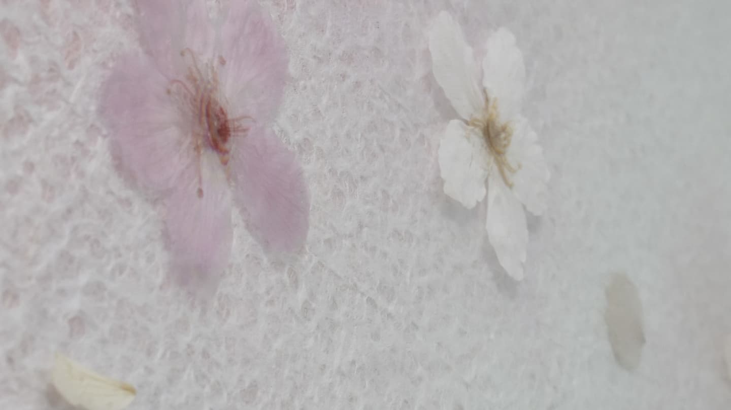 ガラス仏壇効果