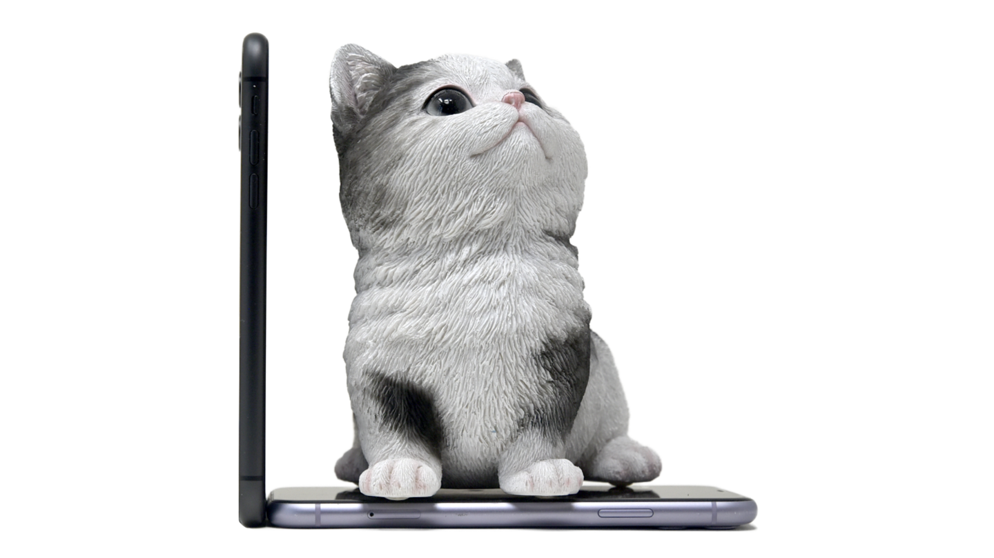 Woobiaサイズ比較猫1