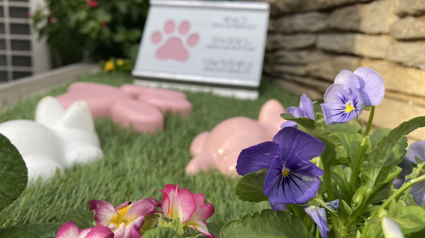 ペット樹木葬メイン